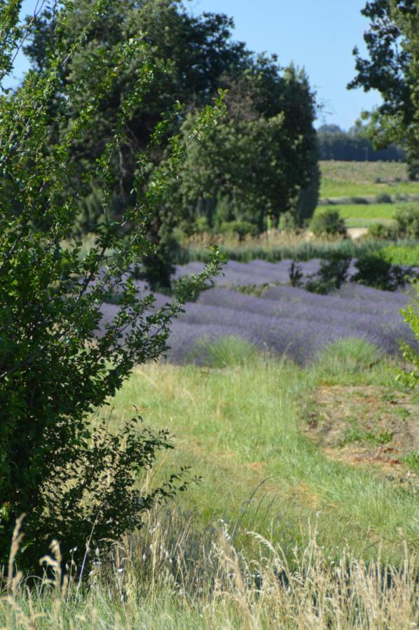 Holiday home La Petite Machotte *